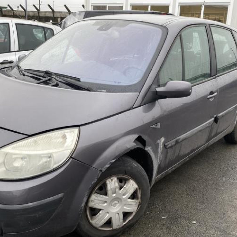 Vitre arriere droit RENAULT SCENIC 2 Photo n°10