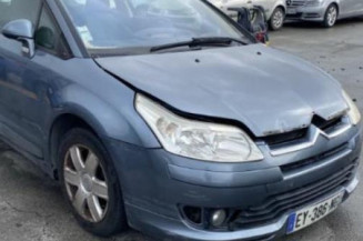 Custode avant gauche (porte) CITROEN C4 1