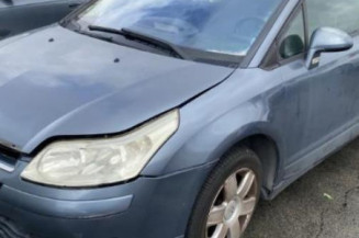 Custode avant gauche (porte) CITROEN C4 1