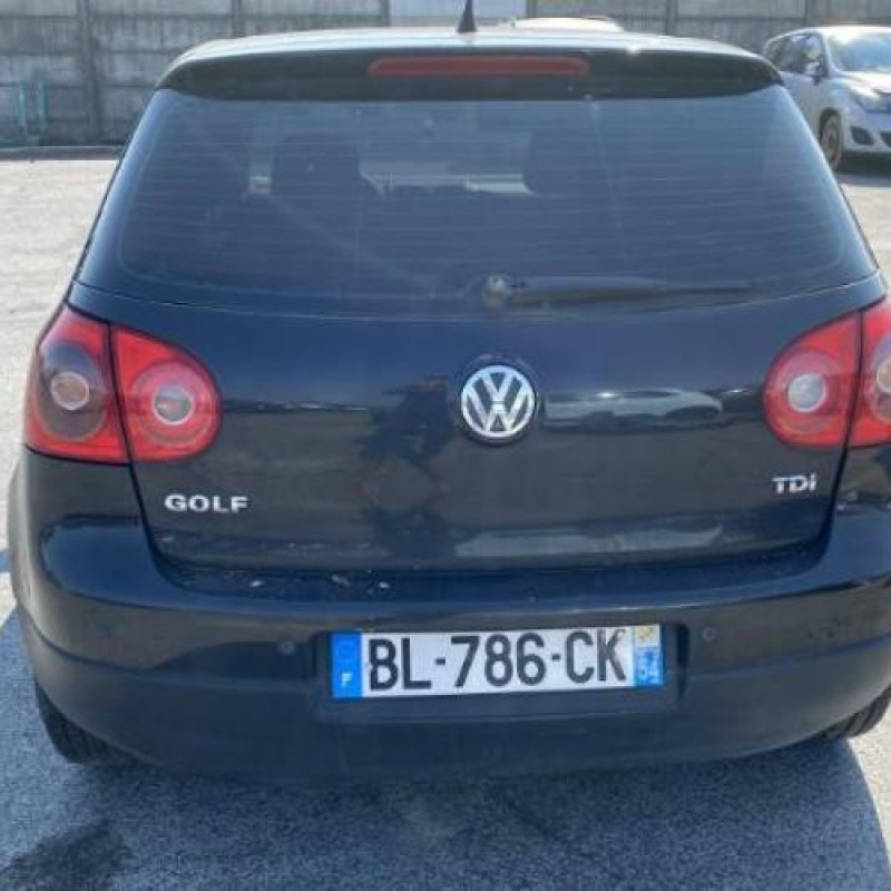 Custode arriere gauche VOLKSWAGEN GOLF 5 Photo n°10