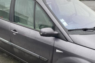 Baguette de porte arriere droite RENAULT SCENIC 2