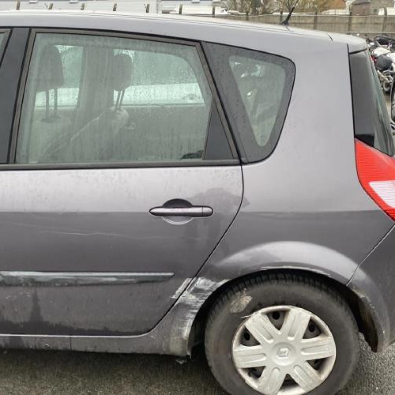 Poignee porte arriere gauche RENAULT SCENIC 2 Photo n°9