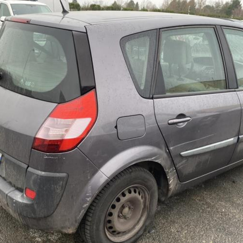 Poignee porte arriere gauche RENAULT SCENIC 2 Photo n°12