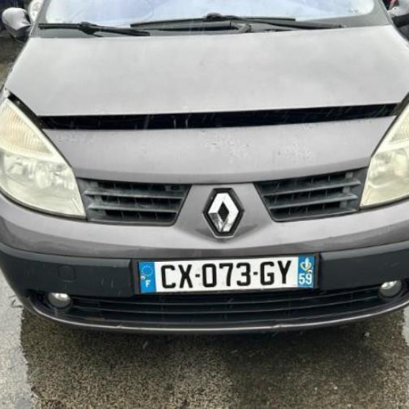 Custode avant droit (porte) RENAULT GRAND SCENIC 2 Photo n°7