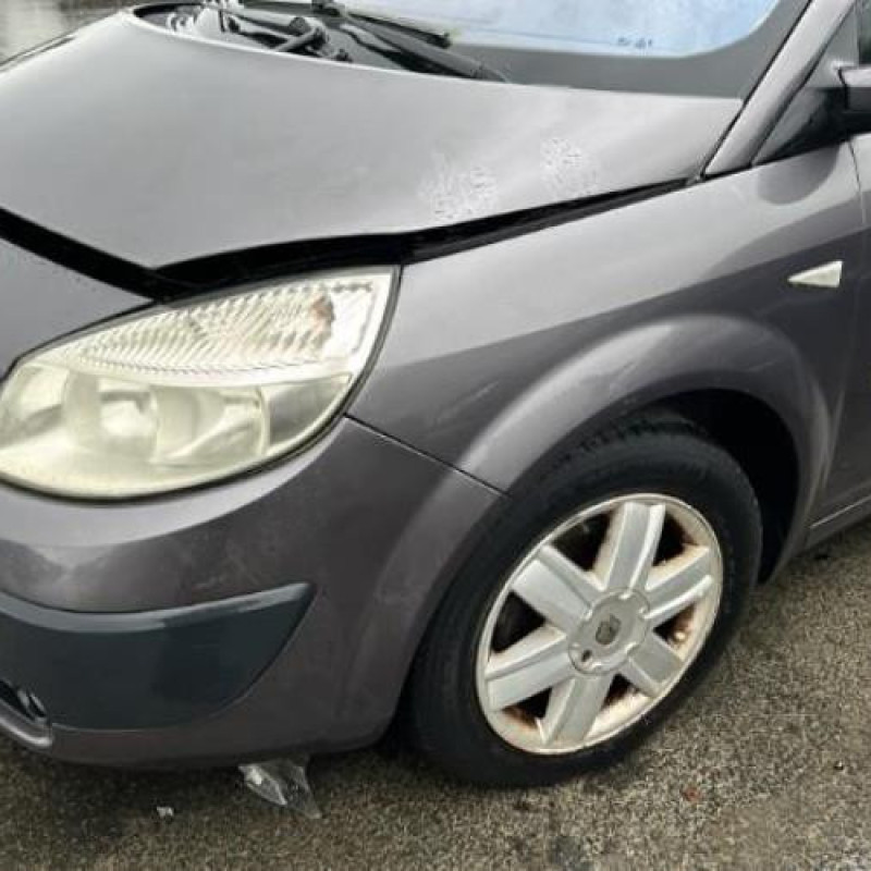 Custode avant droit (porte) RENAULT GRAND SCENIC 2 Photo n°8