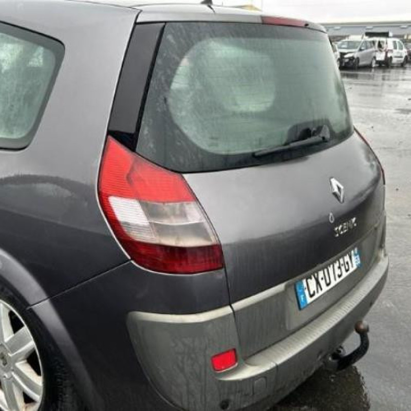 Custode avant droit (porte) RENAULT GRAND SCENIC 2 Photo n°11