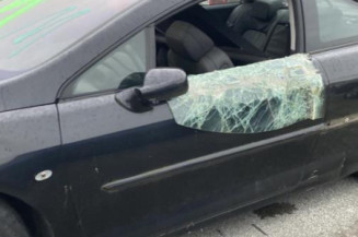 Baguette de porte avant gauche PEUGEOT 407