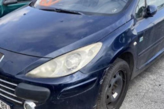 Custode avant droit (porte) PEUGEOT 307