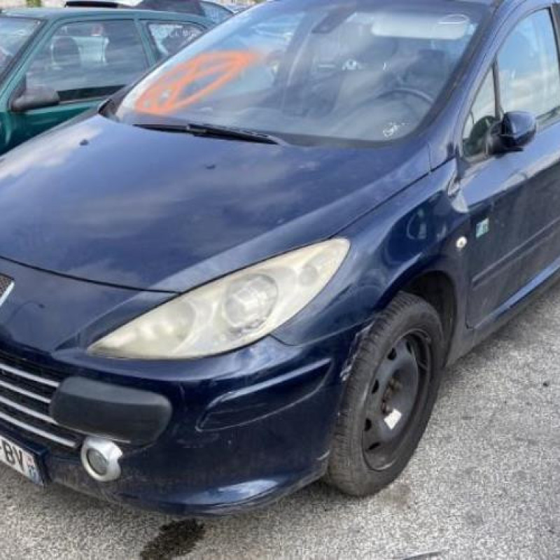 Custode avant droit (porte) PEUGEOT 307 Photo n°6