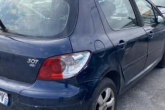 Custode avant droit (porte) PEUGEOT 307