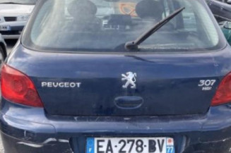 Custode avant droit (porte) PEUGEOT 307