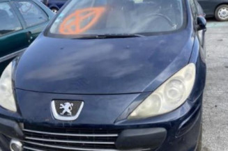 Custode avant droit (porte) PEUGEOT 307