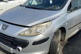 Custode avant droit (porte) PEUGEOT 307