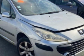 Custode avant droit (porte) PEUGEOT 307