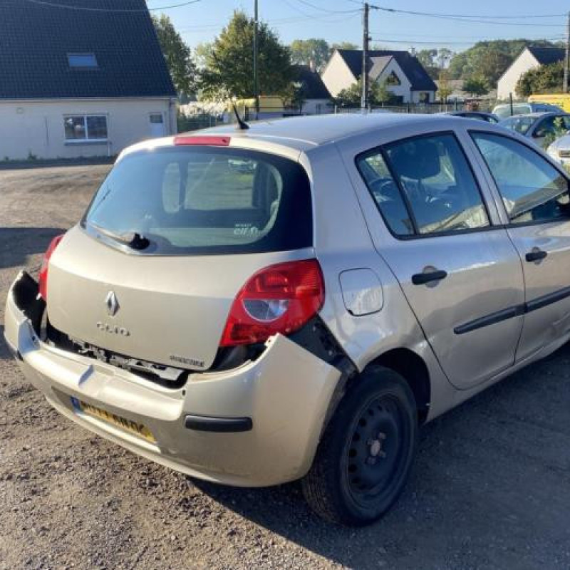 Custode arriere droit (porte) RENAULT CLIO 3 Photo n°7