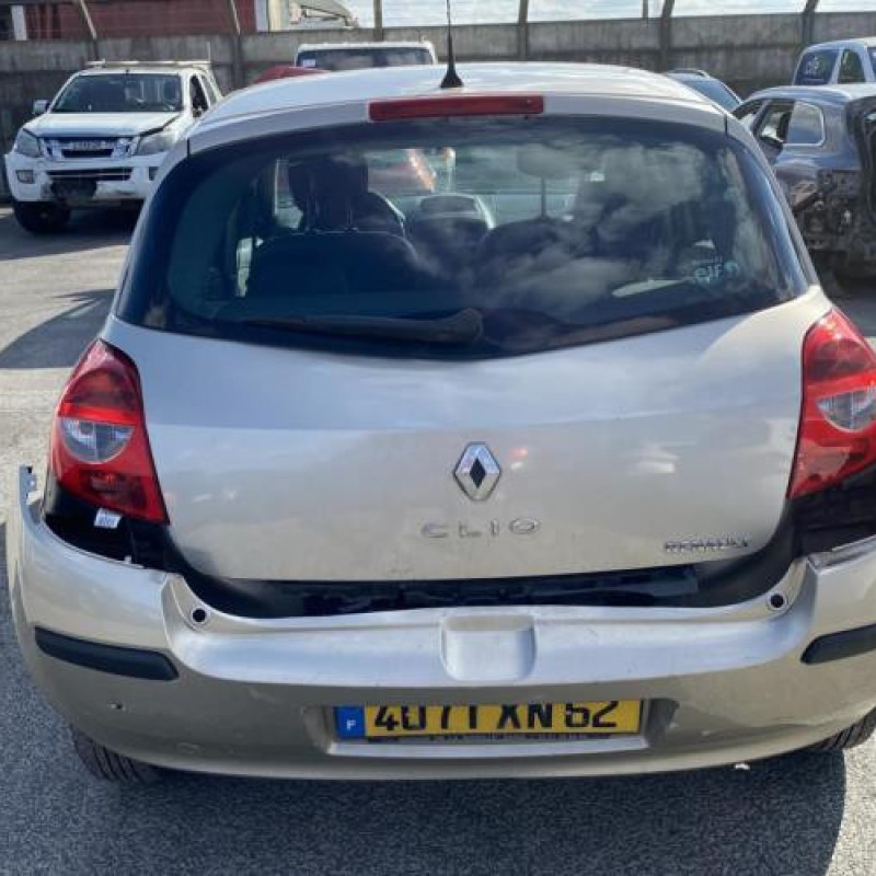 Custode arriere droit (porte) RENAULT CLIO 3 Photo n°20