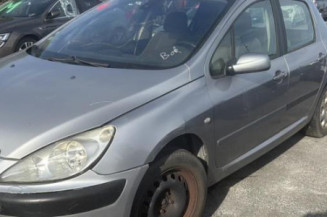 Custode avant droit (porte) PEUGEOT 307