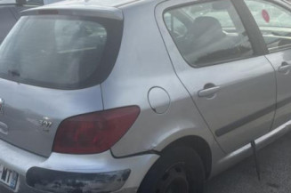 Custode avant droit (porte) PEUGEOT 307