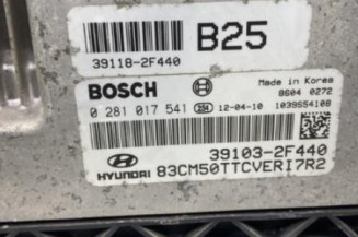 Calculateur moteur HYUNDAI SANTA FE 2