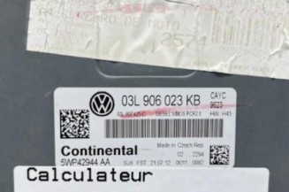 Calculateur moteur VOLKSWAGEN BEETLE 2