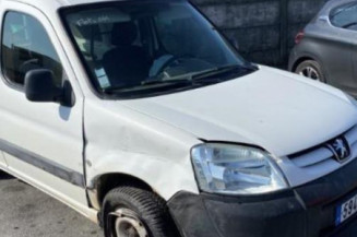 Porte de coffre gauche PEUGEOT PARTNER 1