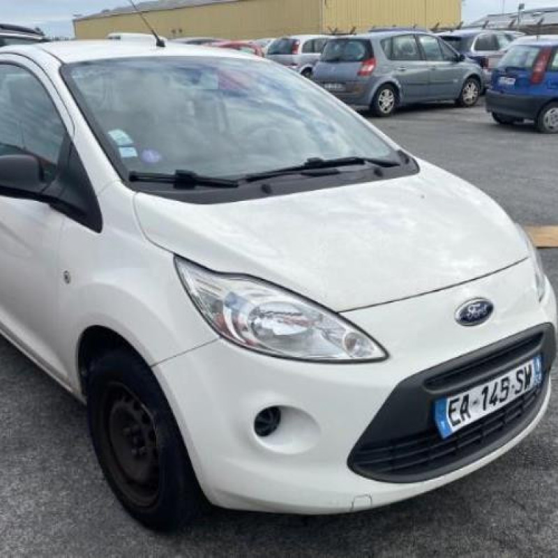 Poignee porte avant gauche FORD KA 2 Photo n°5