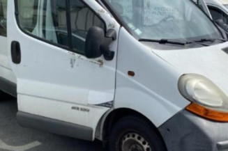 Porte de coffre gauche RENAULT TRAFIC 2