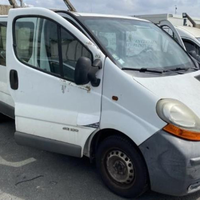 Porte de coffre gauche RENAULT TRAFIC 2 Photo n°14