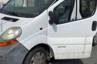 Porte de coffre gauche RENAULT TRAFIC 2