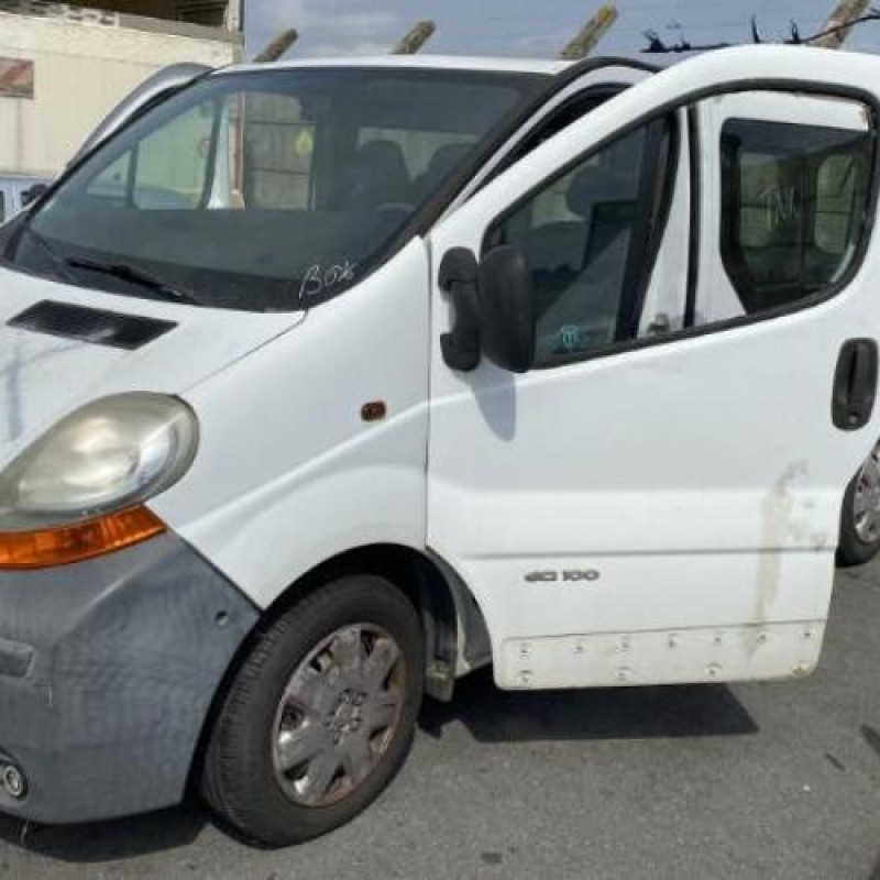 Porte de coffre gauche RENAULT TRAFIC 2 Photo n°15