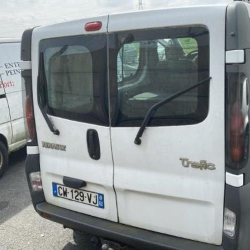 Porte de coffre gauche RENAULT TRAFIC 2 Photo n°18