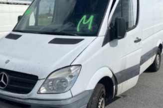 Custode avant droit (porte) MERCEDES SPRINTER 2