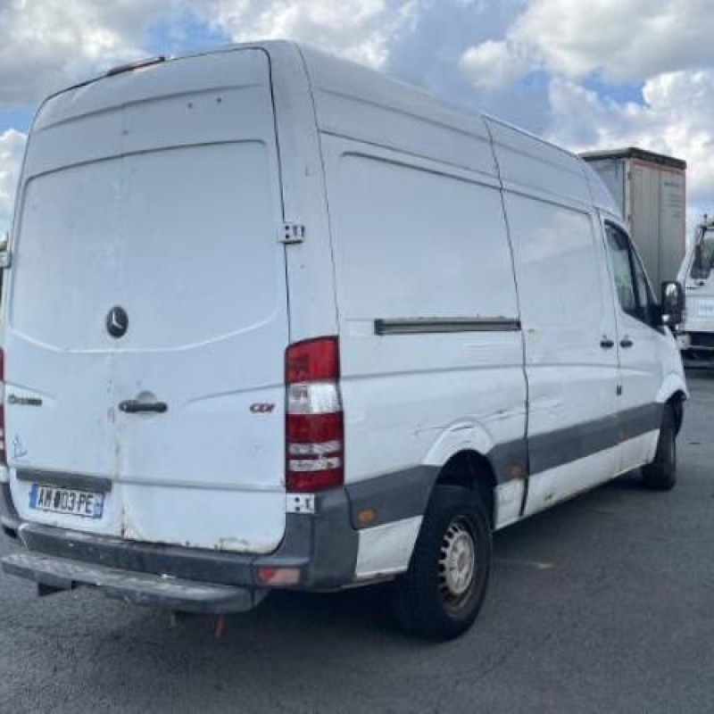 Custode avant droit (porte) MERCEDES SPRINTER 2 Photo n°8