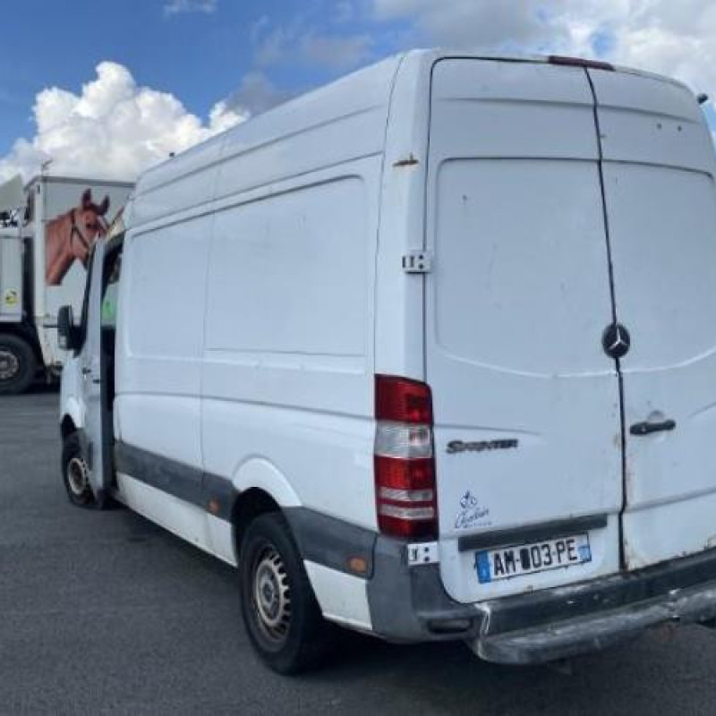 Custode avant droit (porte) MERCEDES SPRINTER 2 Photo n°9