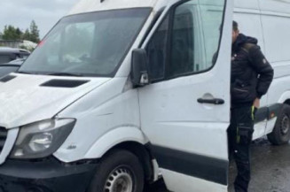 Custode avant droit (porte) MERCEDES SPRINTER 2