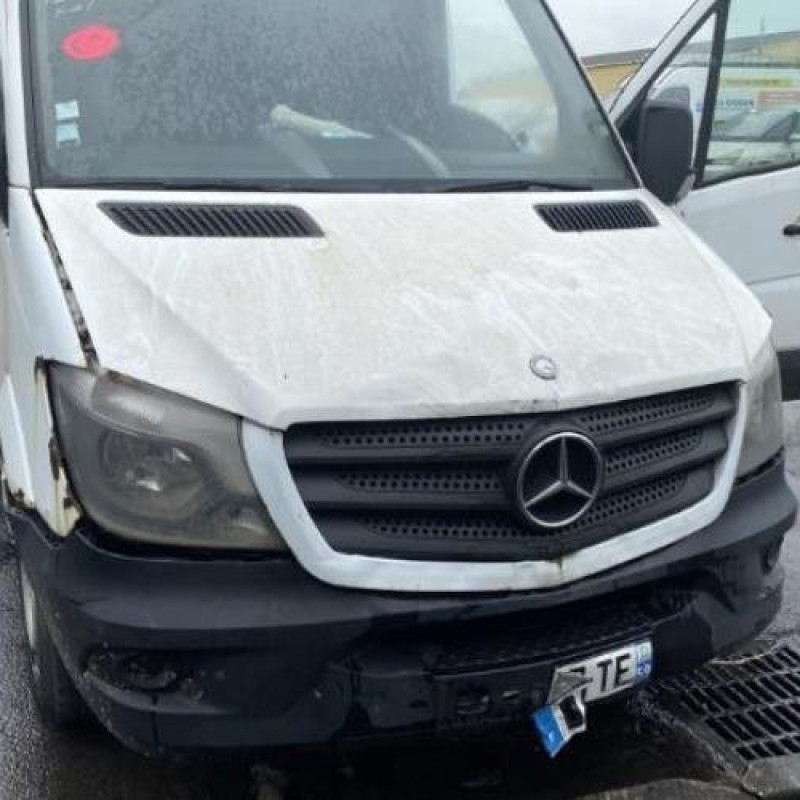 Custode avant droit (porte) MERCEDES SPRINTER 2 Photo n°11