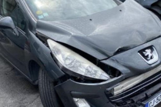 Arret de porte arriere gauche PEUGEOT 308 1