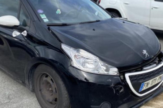 Custode avant gauche (porte) PEUGEOT 208 1