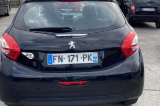 Custode avant gauche (porte) PEUGEOT 208 1