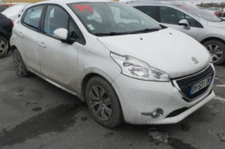 Custode avant gauche (porte) PEUGEOT 208 1