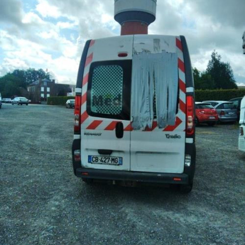 Custode avant droit (porte) RENAULT TRAFIC 2 Photo n°9