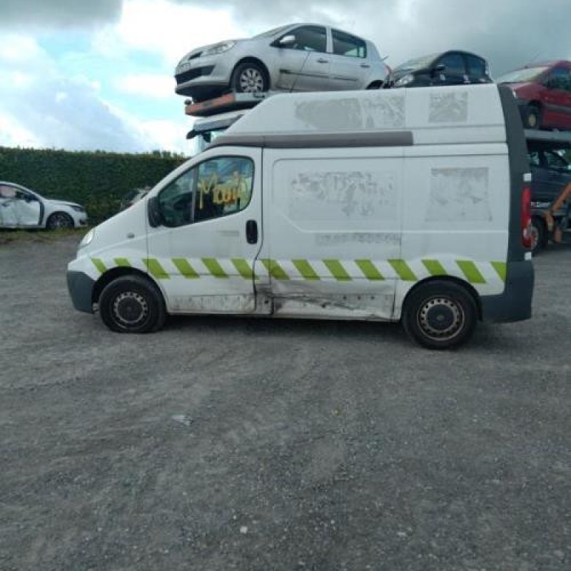 Custode avant gauche (porte) RENAULT TRAFIC 2 Photo n°10