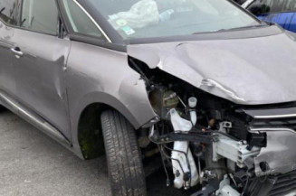 Poignee porte arriere gauche RENAULT SCENIC 4