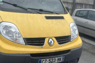 Porte de coffre gauche RENAULT TRAFIC 2