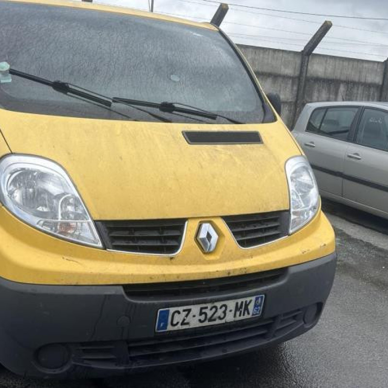 Porte de coffre gauche RENAULT TRAFIC 2 Photo n°12