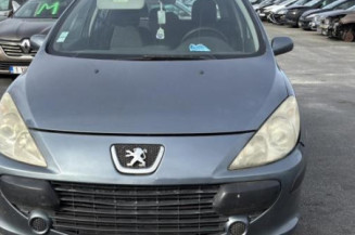 Boitier BSI PEUGEOT 307