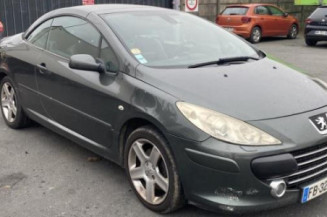 Custode avant gauche (porte) PEUGEOT 307