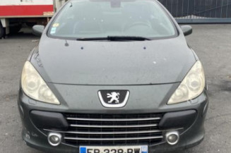 Custode avant gauche (porte) PEUGEOT 307