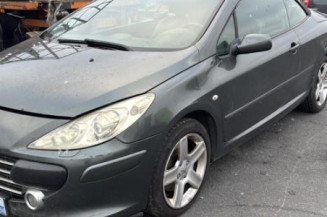 Custode avant gauche (porte) PEUGEOT 307