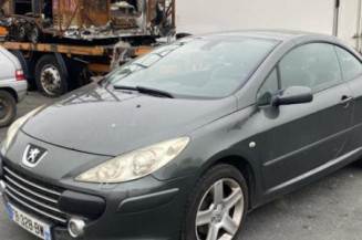 Custode avant gauche (porte) PEUGEOT 307